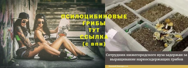 соль ск Новокубанск