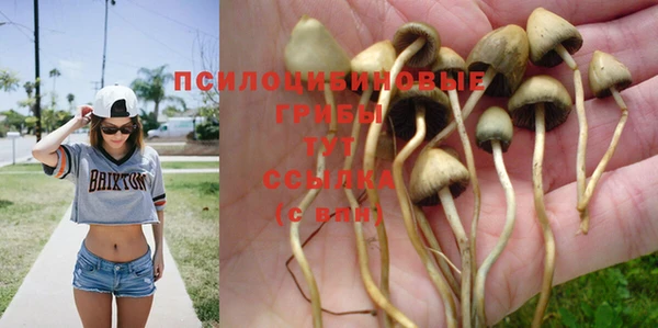 бошки Новодвинск